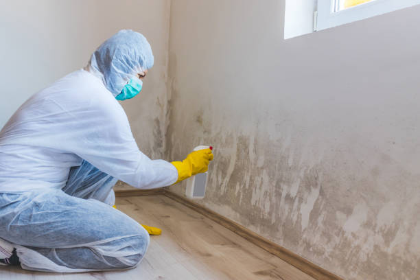 Licensed Mold Remediation service in Wake Forest, NC - 24 Hour Mold Removal