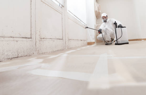24/7 Emergency Mold Remediation experts in Wake Forest, NC
