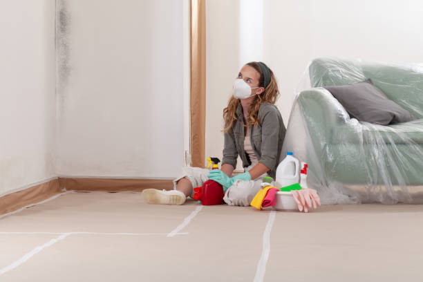 Reliable Mold Remediation contractor in Wake Forest, NC by 24 Hour Mold Removal