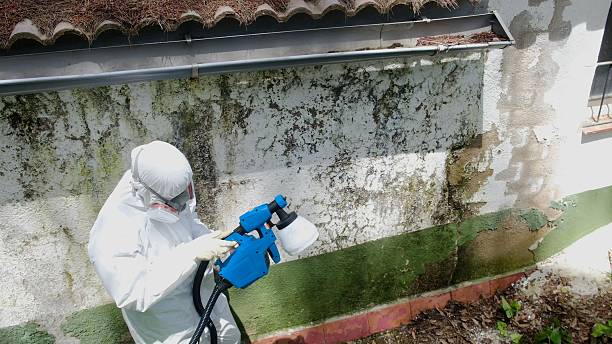 Top rated local Mold Remediation specialists in Wake Forest, NC